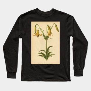 Canada Lily-Available As Art Prints-Mugs,Cases,Duvets,T Shirts,Stickers,etc Long Sleeve T-Shirt